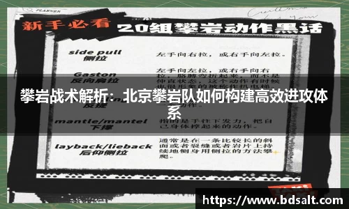 zoty中欧体育