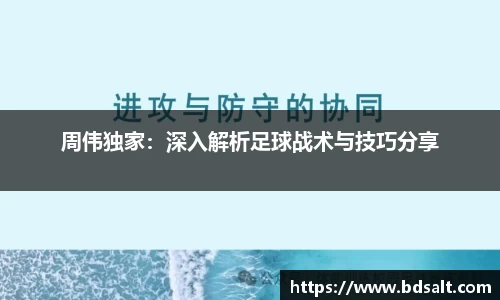 zoty中欧体育